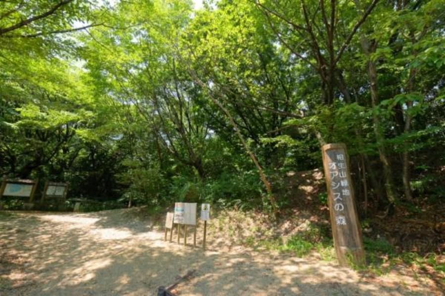 【トヨタホーム】Greesa Terrace(グリーサテラス) 篠の風