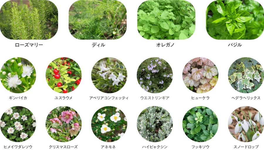 【住友林業の戸建分譲】プレディアステージ一宮/全10邸/名古屋鉄道 尾西線「西一宮」駅 徒歩10分〜11分/一宮駅自転車約6分