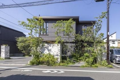 M 14175f8a 48f3 40d9 9f4f 45d11ade8c4d