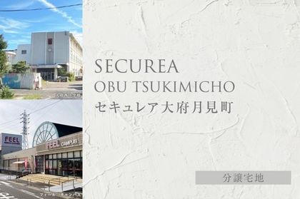 M 1dea567b 9712 4b3f a815 4cd0ad9c61a8