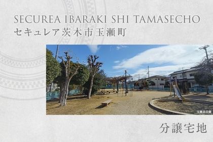 M 93ba195c 7cf4 460f 8562 bec10c82297d