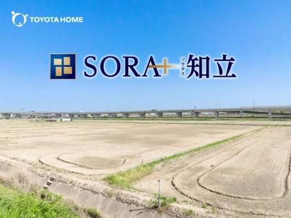 M 80a255a8 63ab 4439 b4c8 eb321c9ec3a3