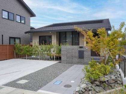 M 53282476 9295 47f2 ae15 ef960ab987db