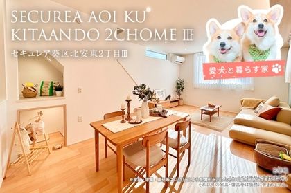 セキュレア葵区北安東2丁目III(分譲住宅)