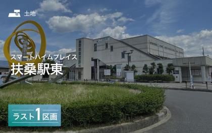 M 2a46958a 68a7 40d7 abe1 06506ebee7a4