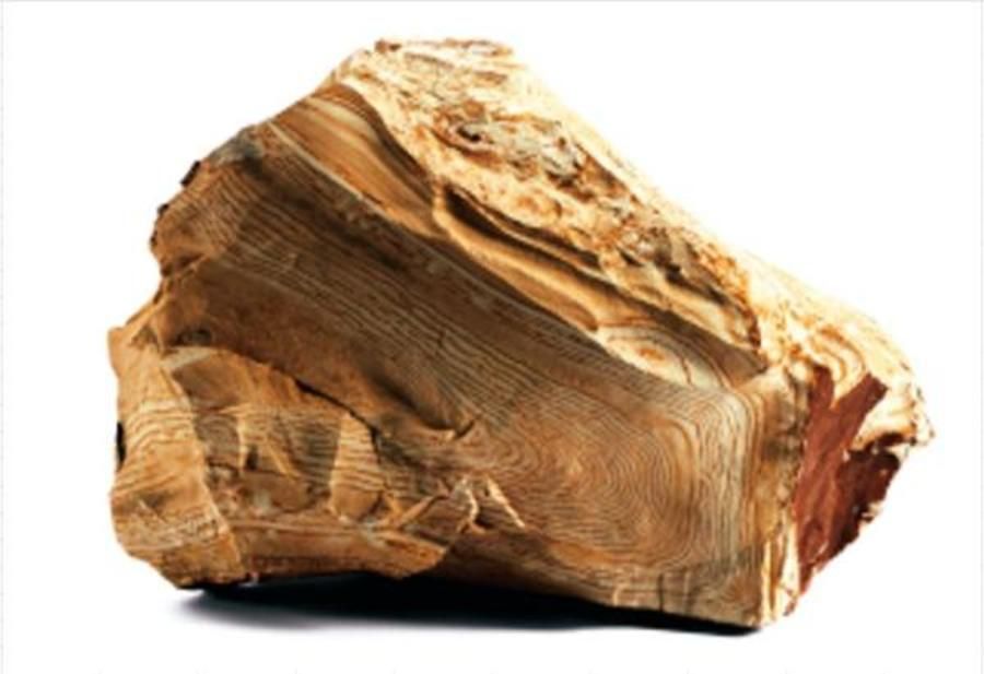 パークナードテラス三好丘(建築条件付)