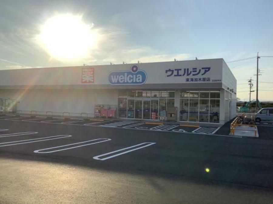 ネオグラッドア441加木屋中ノ池駅南