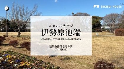 M cba4a073 c502 42b2 97f9 8ab1e6462aeb