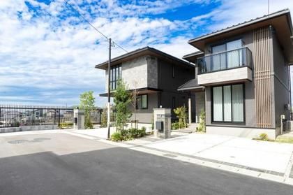 M 3d1977a8 0db9 497a 9c89 6492112eefb7