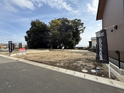 M d1a66805 06b8 44ad b891 b2c065d0faa6