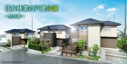 M 152ed5c2 7411 4b4f 94c3 f95a04c2b562