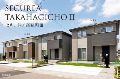 M 14226131 7064 44ca b361 d65a589a4270