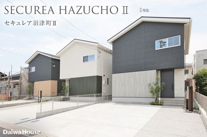 M d29ba24a c479 4e19 a6a4 885ca66de55a