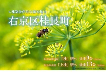 西京区桂艮町