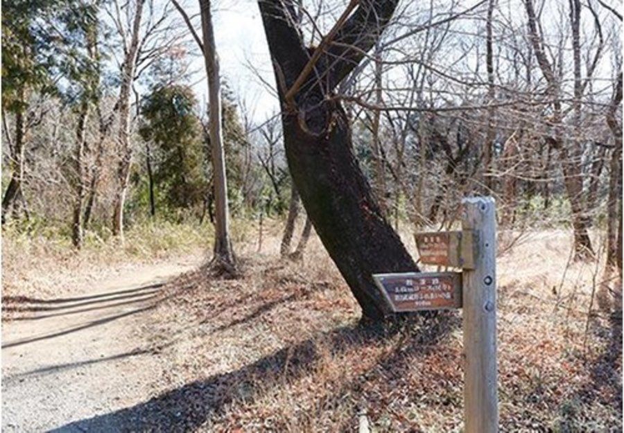 【住友林業の戸建分譲】フォレストガーデン川越新河岸II
