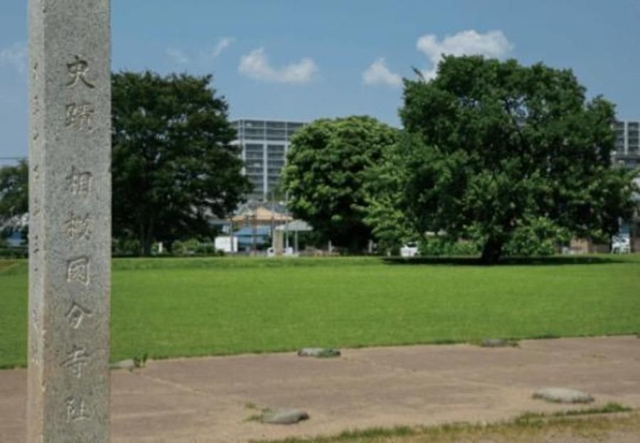 【住友林業の戸建分譲】Park＆Sky海老名