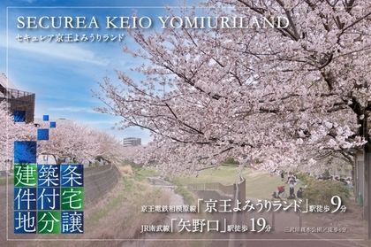 M 37699d9a bbd2 4a55 ab5b c6d489187151