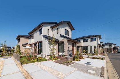 M 8c7e70e9 5528 4dd5 9b19 04123a3f5e85