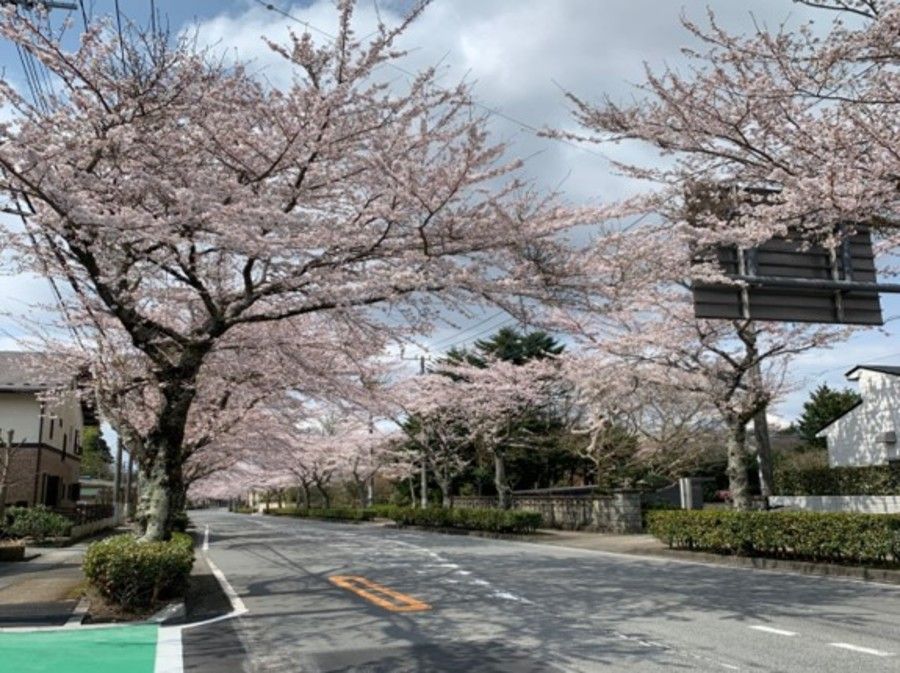 パークナードテラス御殿場市・東田中 分譲地(建築条件付)
