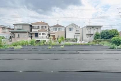 M 5490cf60 79d5 4f40 a675 f70ba4b1945f