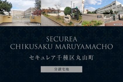 M 530ec544 c8ca 43d3 8f87 8a5af3063fd9