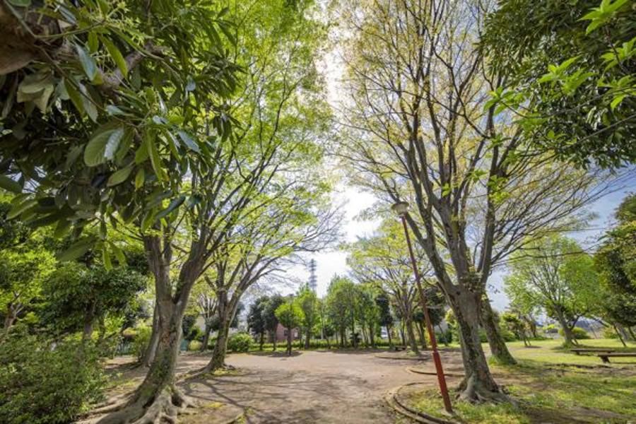 スマートハイムシティ茅ケ崎香川II